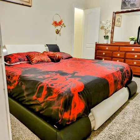 Homely Room